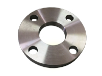Stainless Steel Plate Flange (SSF)