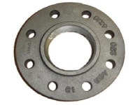 Grey Iron Threaded Companion Flanges (for Steel Pipe) (SPF)