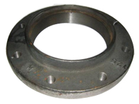 Ductile Iron Tapped Flange (DTF)