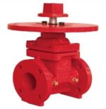 Resilient Wedge NRS Gate Valve - Flanged End